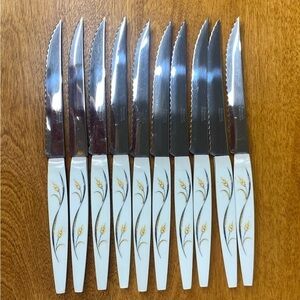 Set Of 10 Robinson Vintage Plastic Handle Steak Knives MCM Unusual Find Rare 60s